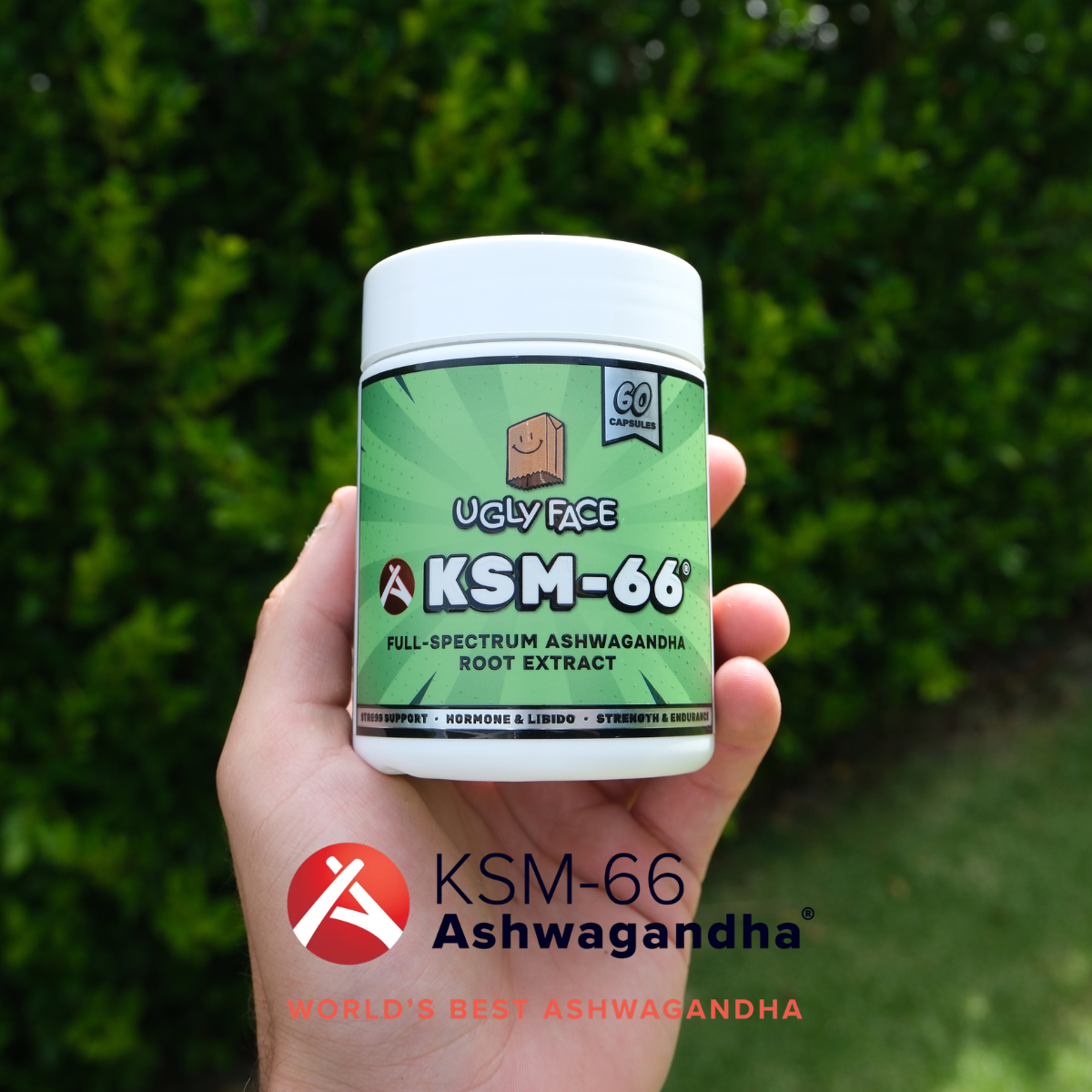 KSM-66® BOGO 1/2 PRICE